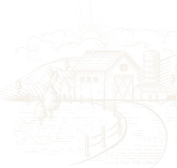 background img