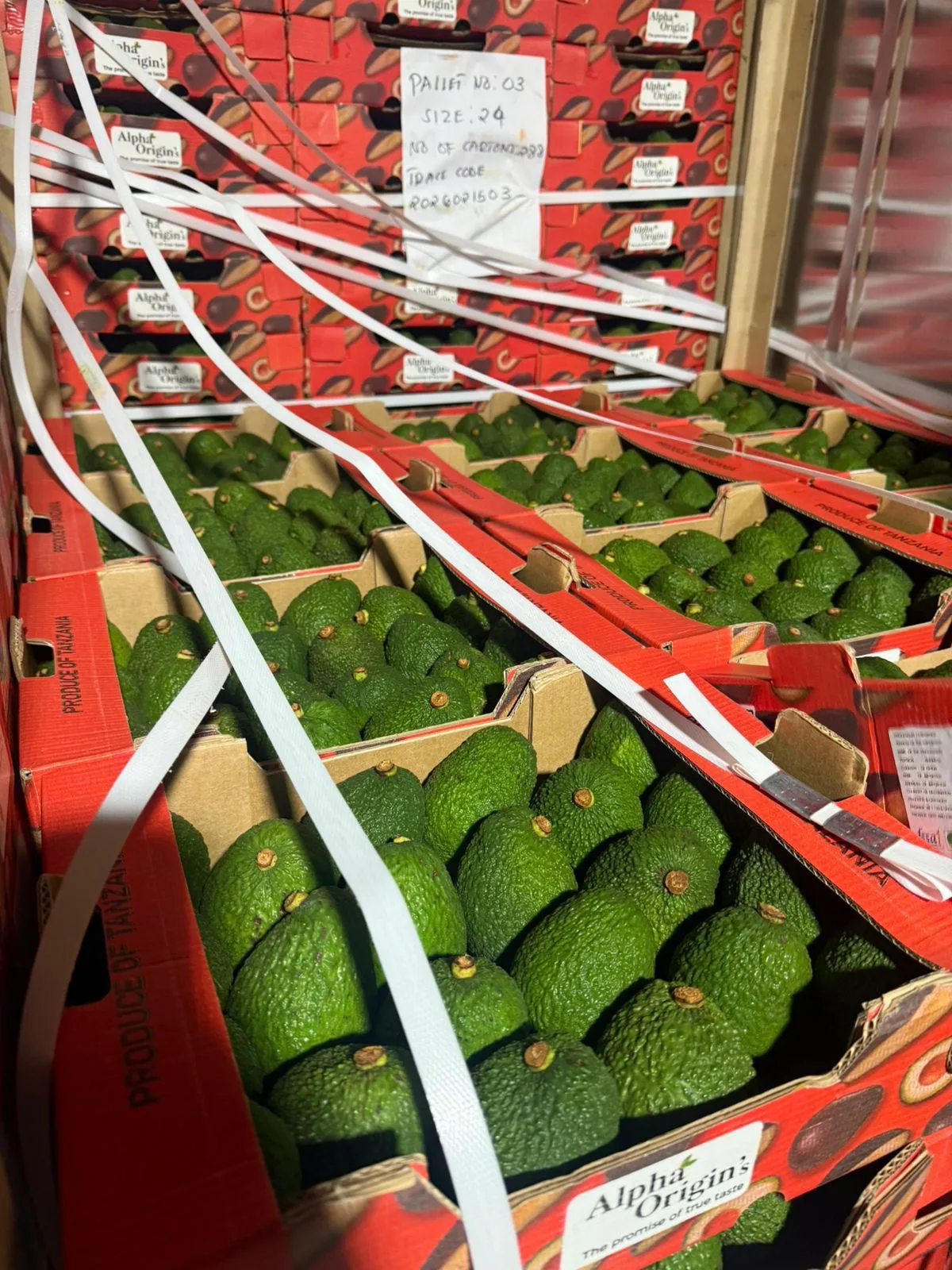 Avocado from Tanzania
