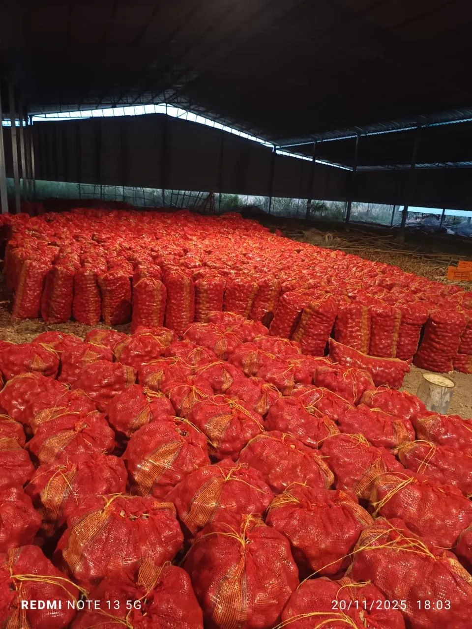 Nashik onion grading warehouse