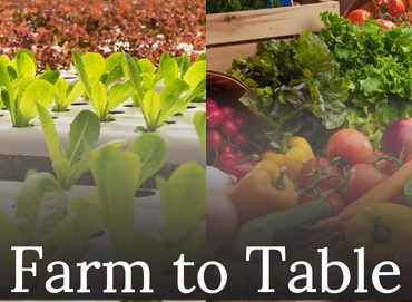 From Farm to Table: The Journey of Fresh Produce Img